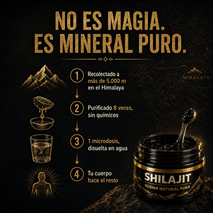 Sup Resina orgánica pura del Himalaya SHILAJIT 100g