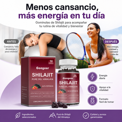 Gummies SHILAJIT 30 unidades
