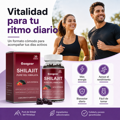 Gummies SHILAJIT 30 unidades