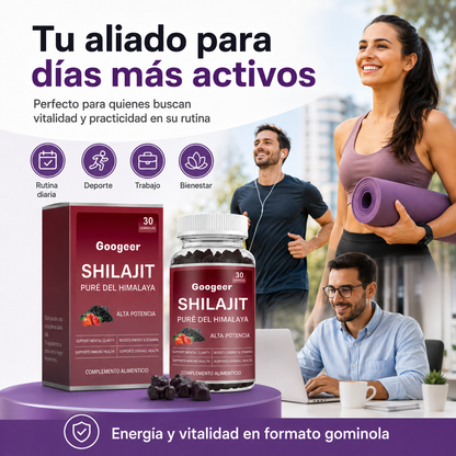 Gummies SHILAJIT 30 unidades